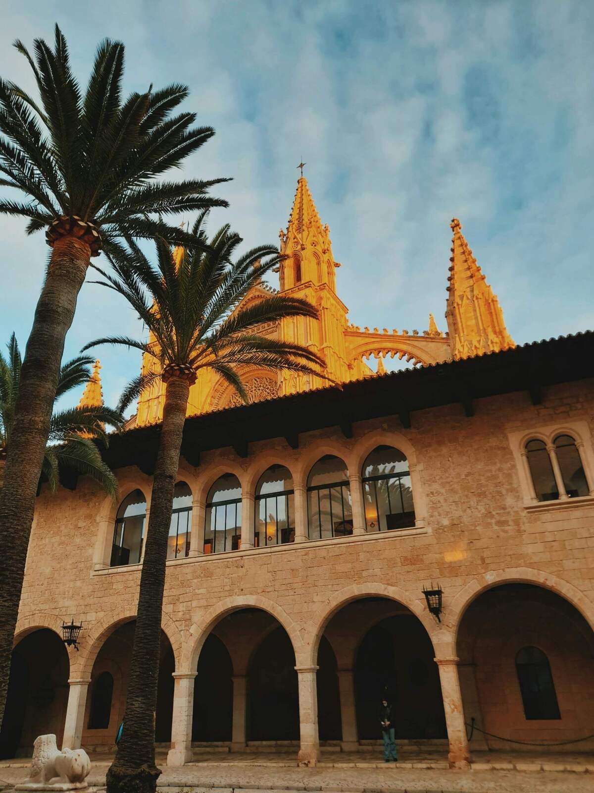 Palma Cathedral in Mallorca with palm trees and historic arches